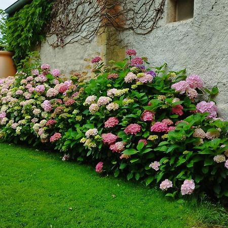 Le Charbonnet Bed & Breakfast Anzy-le-Duc Exterior photo